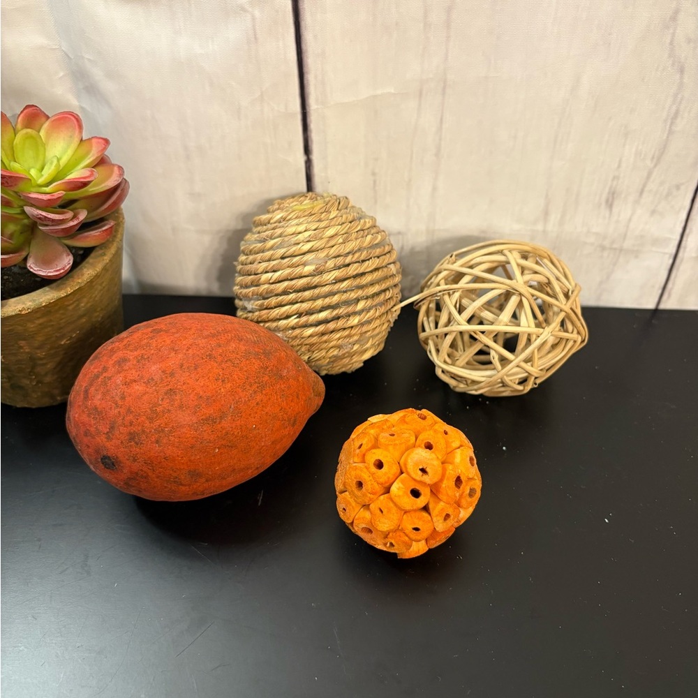 Decorative Natural Accent Ball Set of 4
